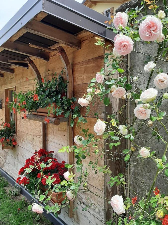 Appartamento Per Vacanze "Il Gelso" 로베레토 외부 사진